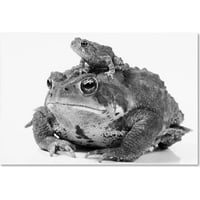 Zaštitni znak likovna umjetnost Dvije žaba platna Art by Jason Shaffer