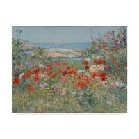 Zaštitni znak likovne umjetnosti 'Vrtne otoke Shoals Maine' Canvas Art by Childe Frederick Hassam