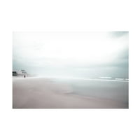 Plava palomino 'Misty Beach s čuvarom stajališta' platno umjetnost