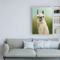 Zaštitni znak likovna umjetnost 'Tko tvoja llama I Green' platno umjetnost Julia Purinton