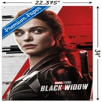 Filmski svemir u Mumbaiju-zidni Poster crna udovica-Melina s gumbima, 22.375 34