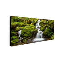 Zaštitni znak likovna umjetnost Green Moss Stream Canvas Art by Pierre Leclerc