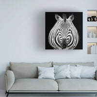 Els keurlinck 'zebra m' platno umjetnost