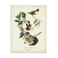 John James Audubon 'Redstart' platno umjetnost