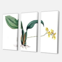 DesignArt 'Drevni biljni život vi' Tradicionalno platno zidne umjetničke tisak