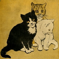 Plakat na kojem su tri mala mačića Jazberi, Fluffie i Jouler Catherine pile