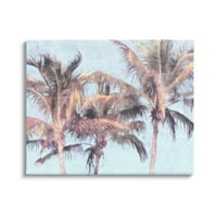 Stupell Industries nalaze se palmi, galerija grafičke umjetnosti Tropsko nebo zamotana platna za tisak zidne umjetnosti,