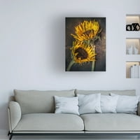 Lori Hutchison 'Sunflowers' platno umjetnost