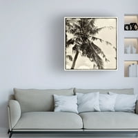 Debra van zaklinjanje 'Palm Tree Sepia II' platno umjetnost
