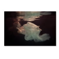 Zaštitni znak likovne umjetnosti 'Sleeping Beauty' platno umjetnost Gabriela Slegrova