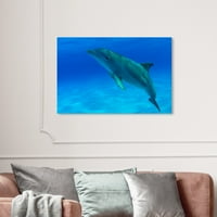 Wynwood Studio Nautical and Coastal Wall Art Canvas Otisci Boclenose Dolphin Bahamas David Fleetham 'Marine Life