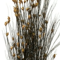 36-40 prirodna biljka zvončića sa sjemenkama, pakiranje od 8 unci, konzervirano