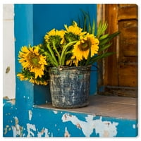 Wynwood Studio 'Cvjetni i botanički zidni umjetnički platni cvjetovi Camaguey cvijeće - žuta, plava, 30 30