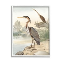 Stupell Industries Wild Heron Ptice slikovito Scenic Grassy Creek Slikanje bijele uokvirene umjetničke print zidne