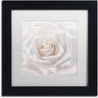 Zaštitni znak likovna umjetnost 'mekana bijela ruža' platno umjetnost Cora Niele, bijela mat, crni okvir