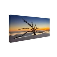 Zaštitni znak likovna umjetnost Sunset Dead Tree Canvas Art by Pierre Leclerc