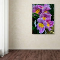 Zaštitni znak likovne umjetnosti Sretne orhideje Canvas Art by Kurt Shaffer