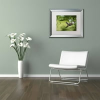 Zaštitni znak likovna umjetnost Green Heron Canvas Art by Kurt Shaffer, White Matte, Silver Frame