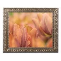 Zaštitni znak likovna umjetnost 'Orange tulipanski' platno umjetnost Cora Niele, zlatni ukrašeni okvir