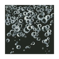 Zaštitni znak likovne umjetnosti 'Bubbles II' Canvas Art od Chrisa Paschkea