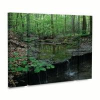 Zaštitni znak likovna umjetnost 'Tiny Forest Falls' platno umjetnost Kurta Shaffera
