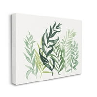 Stupell Industries slojeviti biljni lišće botaničke galerije grafičke umjetnosti omotana platna za tisak zidne