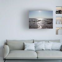 Willow Way Studios Inc 'Atlantic Skies II' Canvas Art