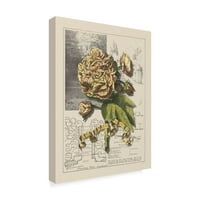 Zaštitni znak likovne umjetnosti cvjetno platno umjetnost 'vrt za II lipanj' D. Bookman
