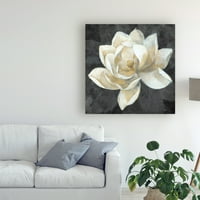 Zaštitni znak likovna umjetnost 'Majestic Magnolia Neutral Sq' Canvas Art by Albena Hristova