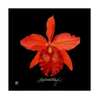 Zaštitni znak likovna umjetnost 'Životna orhideja ix' platno umjetnost Ginny Joyner