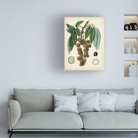 Vision Studio 'Antički lišće i voće III' Umjetnost platna