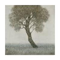 Zaštitni znak likovna umjetnost 'White Blossom Tree' platno umjetnost Tima Otoole