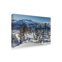 Zaštitni znak likovna umjetnost 'Whistler Mountain Winter' platno umjetnost Pierre Leclerc