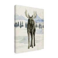 Zaštitni znak likovna umjetnost 'Alaskanska divljina I' Canvas Art by Grace Popp