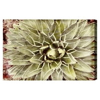 Wynwood Studio cvjetni i botanički zidni umjetnički platno ispisuje botaničari 'Kaktus cvijet' - zelena, bijela