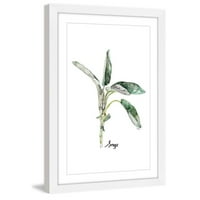 Marmont Hill biljka kadulje Rachel Beiler, gravura s uokvirenom slikom