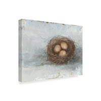 Rustikalno ptičje gnijezdo II 'Platno umjetnost Ethana Harpera