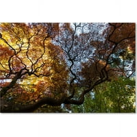 Zaštitni znak likovna umjetnost pod japanskom javorovom stablom platno umjetnost Kurt Shaffer