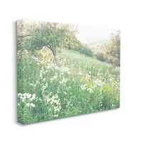 Spring livada travnjaka polja krajolik galerija fotografija zamotana platno print zidna umjetnost