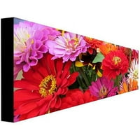 Zaštitni znak Art Zinnia Frize Canvas Art by Kathie McCurdy