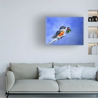 Eileen Herb-Witte 'Kingfisher' platno umjetnost