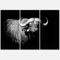 Designart 'Crno -bijeli portret Buffalo I' Farmhouse Canvas Wall Art Print