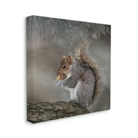 Stupell Woodland Wildlife Photography Photography Animals & Insects Fotografska galerija zamotana platno print