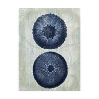 Zaštitni znak likovna umjetnost 'Indigo Blue Sea ježas b' platno umjetnost Fab Funky