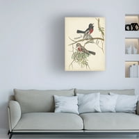 Vision Studio 'Graceful Birds IV' Canvas Art