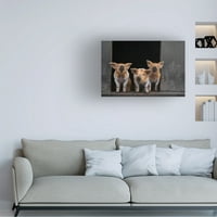 GERT VAN DEN 'PIGS' CANVAS ART