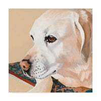 Zaštitni znak likovna umjetnost 'Dlynns Dogs Shell' Canvas Art by Dlynn Roll
