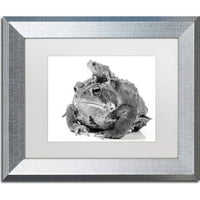 Zaštitni znak likovna umjetnost Dvije krastače platna Art by Jason Shaffer, White Matte, Silver Frame