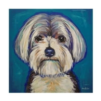 Hippie Hound Studios 'Malteški Yorkie' Canvas Art