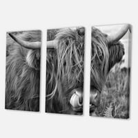 DesignArt 'Izbliza škotske krave na Moorland II' Farmhouse Canvas Wall Art Print